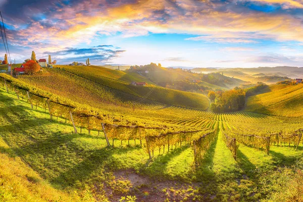 Adembenemende Wijngaarden Landschap Zuid Stiermarken Bij Gamlitz Herfst Scène Van — Stockfoto