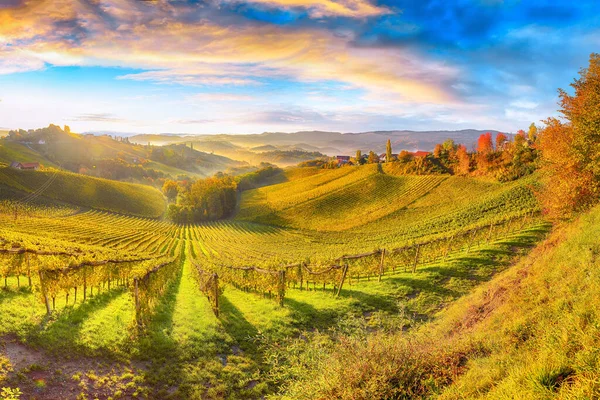 Stunning Vineyards Landscape South Styria Gamlitz Autumn Scene Grape Hills — Φωτογραφία Αρχείου