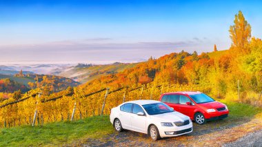 Gamlitz yakınlarındaki Güney Styria 'da nefes kesici üzüm bağları. Popüler seyahat merkezi Eckberg 'deki üzümlü tepelerin sonbahar sahnesi. Yeri: Gamlitz, Leibnitz bölgesi, Styria, Avusturya. Avrupa.