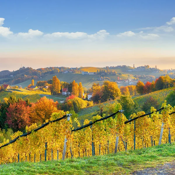 Stunning Vineyards Landscape South Styria Gamlitz Autumn Scene Grape Hills — Φωτογραφία Αρχείου