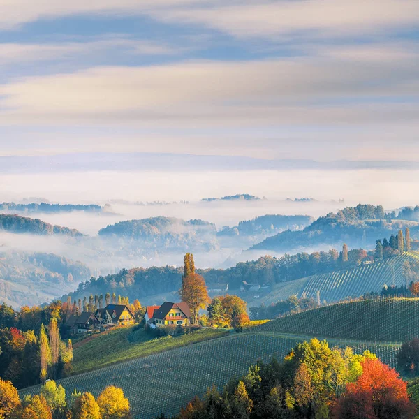 틀리츠 근처에 리아의 여행지인 베르크의 언덕의 풍경이다 오스트리아 리아의 라이프니츠 — 스톡 사진