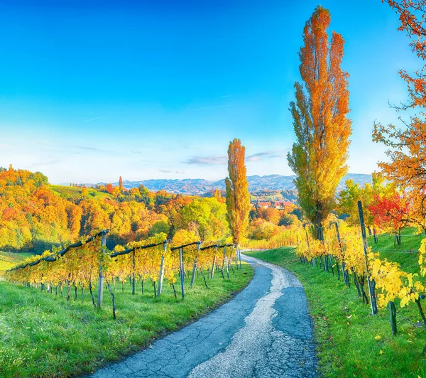 ガムリッツ近くの南スタイリアの息をのむようなブドウ畑の風景 人気の旅行先でブドウの丘の秋のシーンEckberg ガムリッツ オーストリアのシュタイリア州のLeibnitz地区 ヨーロッパ — ストック写真