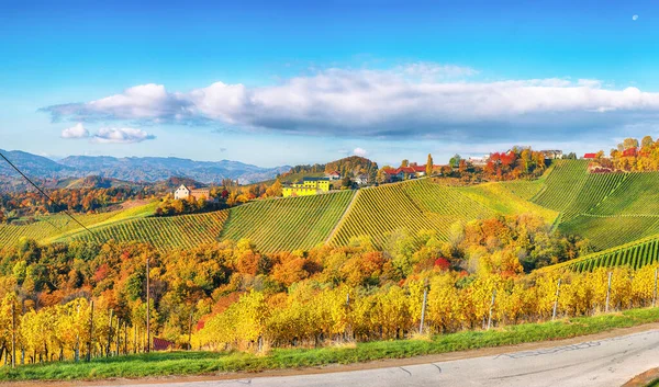 Breathtaking Vineyards Landscape South Styria Gamlitz Autumn Scene Grape Hills — Φωτογραφία Αρχείου