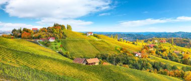 Gamlitz yakınlarındaki Güney Styria 'daki göz kamaştırıcı üzüm bağları. Popüler seyahat merkezi Eckberg 'deki üzümlü tepelerin sonbahar sahnesi. Yeri: Gamlitz, Leibnitz bölgesi, Styria, Avusturya. Avrupa.