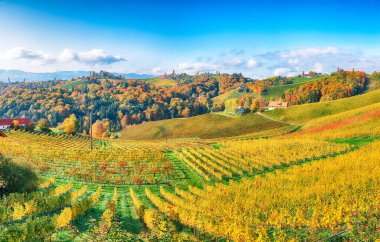 Gamlitz yakınlarındaki Güney Styria 'da nefes kesici üzüm bağları. Popüler seyahat merkezi Eckberg 'deki üzümlü tepelerin sonbahar sahnesi. Yeri: Gamlitz, Leibnitz bölgesi, Styria, Avusturya. Avrupa.
