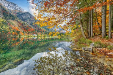 Vorderer Langbasee Gölü 'nün muhteşem sonbahar sahnesi. Poppular Travell 'in varış yeri. Konum: Vorderer Langbasee, Salzkammergut bölgesi, Yukarı Avusturya, Avusturya, Avrupa.