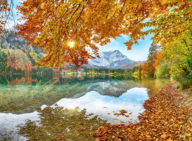 Vorderer Langbasee Gölü 'nün muhteşem sonbahar sahnesi. Poppular Travell 'in varış yeri. Konum: Vorderer Langbasee, Salzkammergut bölgesi, Yukarı Avusturya, Avusturya, Avrupa.