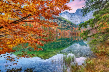 Hinterer Langbasee Gölü 'nün şaşırtıcı sonbahar sahnesi. Poppular Travell 'in varış yeri. Konum: Vorderer Langbasee, Salzkammergut bölgesi, Yukarı Avusturya, Avusturya, Avrupa.