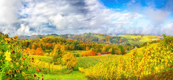 Wspaniały Krajobraz Winnic Południowej Styrii Pobliżu Gamlitz Jesienna Scena Winogronowych — Zdjęcie stockowe
