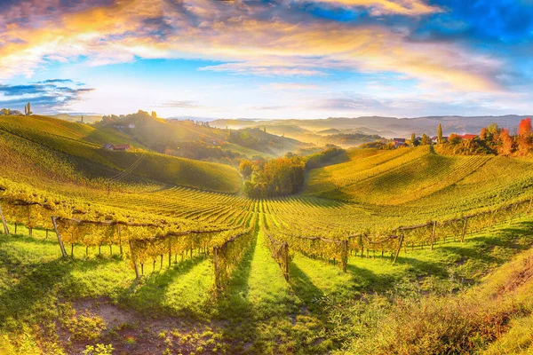 Herrliche Weinbaulandschaft Der Südsteiermark Bei Gamlitz Herbstliche Szenerie Der Weinberge — Stockfoto