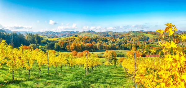 Gamlitz Yakınlarındaki Güney Styria Daki Muhteşem Üzüm Bağları Popüler Seyahat — Stok fotoğraf