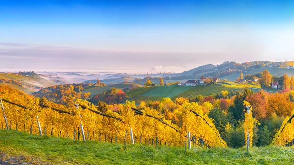 Astonishing Vineyards Landscape South Styria Gamlitz Autumn Scene Grape Hills — Φωτογραφία Αρχείου