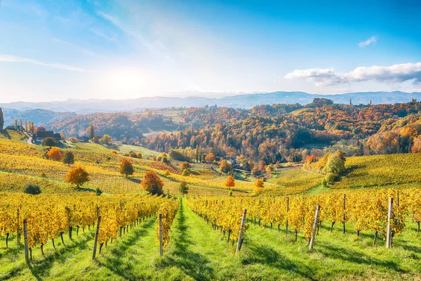 Fabuloso Paisaje Viñedos Sur Estiria Cerca Gamlitz Escena Otoñal Colinas — Foto de Stock