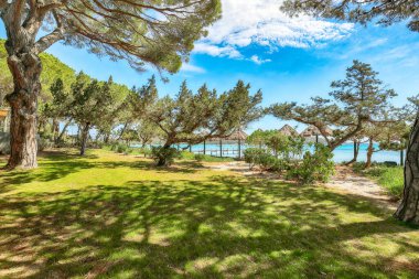 Santa Giulia tatil köyünün muhteşem manzarası. Akdeniz 'in resimli deniz manzarası. Konum: Santa Giulia, Porto-Vecchio, Korsika, Fransa, Avrupa