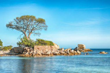 Palombaggia ve Tamaricciu plajlarının olağanüstü manzarası. Meşhur seyahat yeri. Konum: Porto-Vecchio, Korsika, Fransa, Avrupa