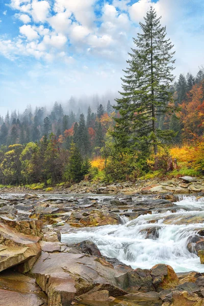 Mountain River Rapids Waterfalls Autumn Time Location Carpathian Mountains Ukraine — ストック写真