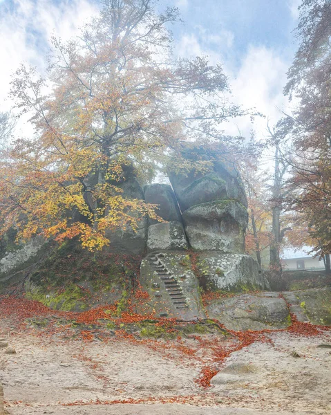 Forest Ancient Rocks Dovbush Bubnishche Carpathian Mountains Foggy Wheather Location — Stock Photo, Image