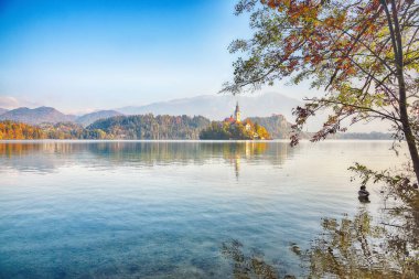 Fabulous sunny day view of popular tourist destination  Bled lake. Dramatic view of Pilgrimage Church of the Assumption of Maria. Location: Bled, Upper Carniolan region, Slovenia, Europe