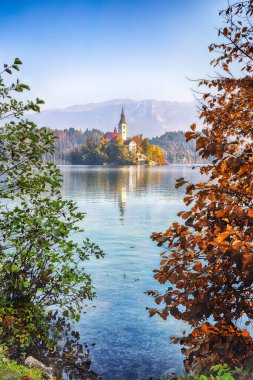 Gorgeous sunny day view of popular tourist destination  Bled lake. Dramatic view of Pilgrimage Church of the Assumption of Maria. Location: Bled, Upper Carniolan region, Slovenia, Europe
