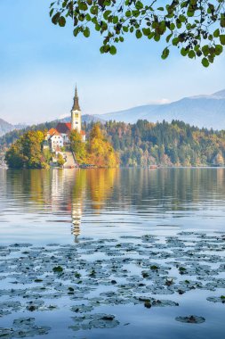 Gorgeous sunny day view of popular tourist destination  Bled lake. Dramatic view of Pilgrimage Church of the Assumption of Maria. Location: Bled, Upper Carniolan region, Slovenia, Europe