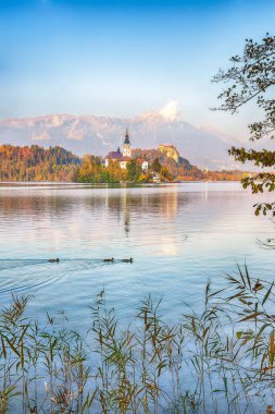 Stunning sunset view of popular tourist destination  Bled lake. Dramatic view of Pilgrimage Church of the Assumption of Maria. Location: Bled, Upper Carniolan region, Slovenia, Europe