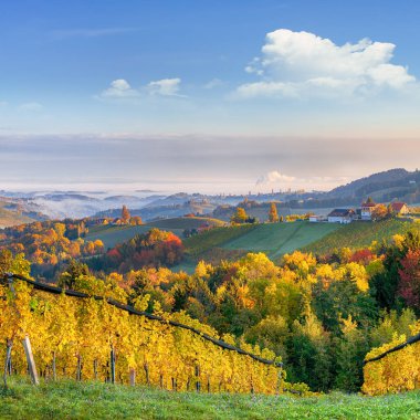 Gamlitz yakınlarındaki Güney Styria 'daki muhteşem üzüm bağları. Popüler seyahat merkezi Eckberg 'deki üzümlü tepelerin sonbahar sahnesi. Yeri: Gamlitz, Leibnitz bölgesi, Styria, Avusturya. Avrupa.
