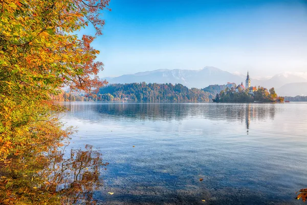 Fabulous sunny day view of popular tourist destination  Bled lake. Dramatic view of Pilgrimage Church of the Assumption of Maria. Location: Bled, Upper Carniolan region, Slovenia, Europe