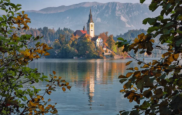 Fabulous Sunny Day View Popular Tourist Destination Bled Lake Dramatic — 图库照片