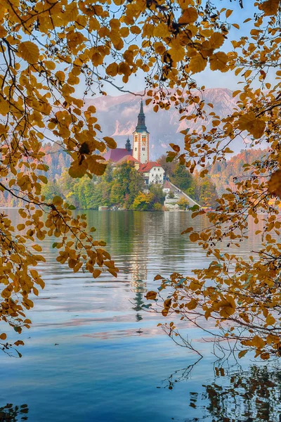 Astonishing sunset view of popular tourist destination  Bled lake. Dramatic view of Pilgrimage Church of the Assumption of Maria. Location: Bled, Upper Carniolan region, Slovenia, Europe