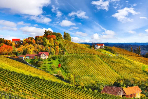 Gamlitz yakınlarındaki Güney Styria 'daki göz kamaştırıcı üzüm bağları. Popüler seyahat merkezi Eckberg 'deki üzümlü tepelerin sonbahar sahnesi. Yeri: Gamlitz, Leibnitz bölgesi, Styria, Avusturya. Avrupa.