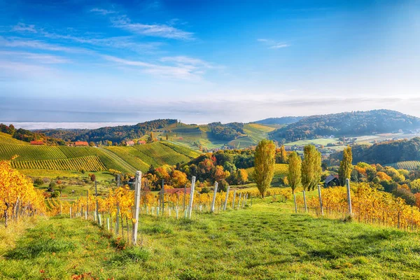 Breathtaking Vineyards Landscape South Styria Gamlitz Autumn Scene Grape Hills — Φωτογραφία Αρχείου