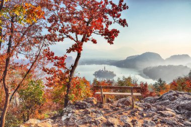 Fabulous sunny day view of popular tourist destination  Bled lake. Dramatic view of Pilgrimage Church of the Assumption of Maria. Location: Bled, Upper Carniolan region, Slovenia, Europe