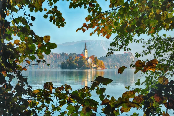 Gorgeous Sunny Day View Popular Tourist Destination Bled Lake Dramatic — Stock Photo, Image