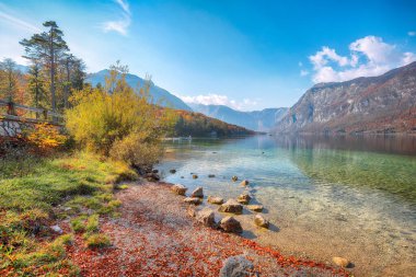 Sonbahar zamanı Bohinj Gölü 'nün şaşırtıcı manzarası. Popüler turizm merkezi: Bohinj Belediyesi, Yukarı Carniola Bölgesi, Triglav Ulusal Parkı, Slovenya, Avrupa