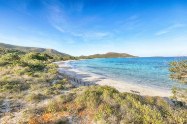 Fabulous view of  Palombaggia and Tamaricciu beaches. Famous travel destination. Location: Porto-Vecchio, Corsica, France, Europe