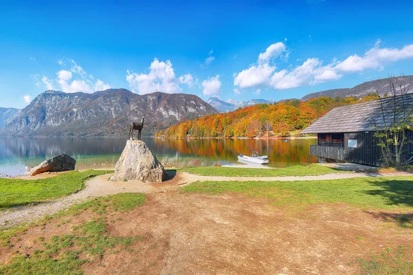 秋天的Bohinj湖景令人惊叹 斯洛文尼亚Triglav国家公园上Carniola地区Bohinj市 — 图库照片