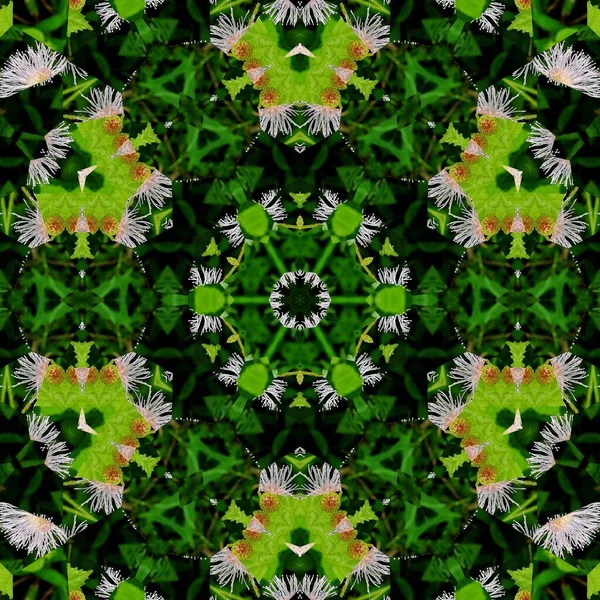 Mystical Pattern Design Background Fantasy Flower Texture Paper Wrapper Fabric — Stockfoto