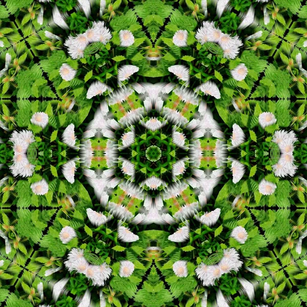 Mystical Pattern Design Background Fantasy Flower Texture Paper Wrapper Fabric — Stockfoto