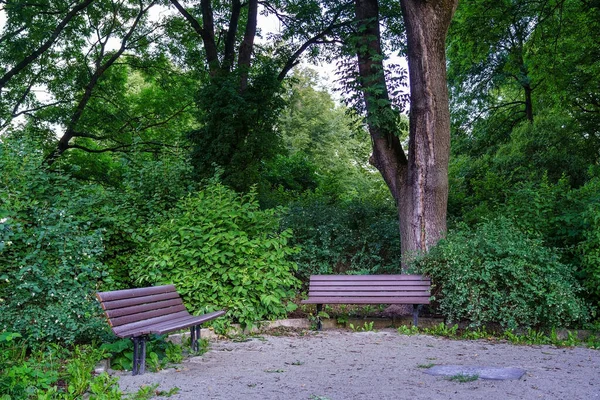Yeşillik dolu bir parkta oturacak banklar..