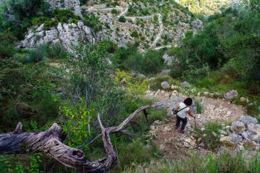 Dağ yolundan aşağı inen bir kadın taşların ve bitkilerin arasında.