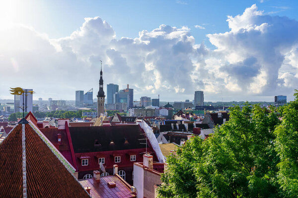 Panoramic of the city of Tallinn on a sunny day at sunset.