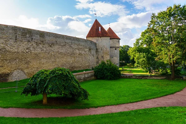 Parete Perimetrale Della Città Medievale Tallinn Con Sentiero Tra Gli — Foto Stock