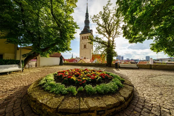 Aiuola Con Fiori Nel Parco Pubblico Chiesa Olaf Sullo Sfondo — Foto Stock