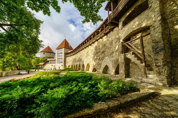 Muro Medievale Che Circonda Antica Città Tallinn Estonia — Foto Stock