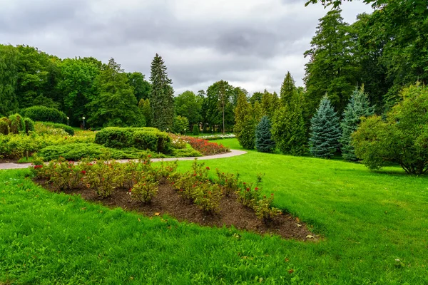 Vuile Weg Grenzend Aan Het Groene Grasveld Tussen Bomen Bewolkte — Stockfoto