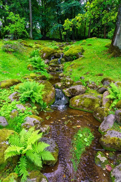Pequeno Riacho Entre Rochas Uma Paisagem Verde Cheia Plantas Samambaias — Fotografia de Stock