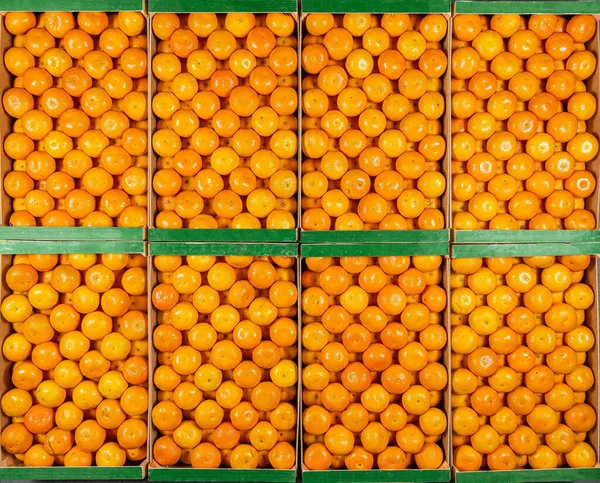 오렌지 상자들 조각들 보이는 — 스톡 사진