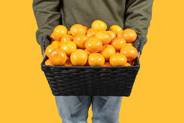Cesta Mandarinas Apiladas Sostenidas Por Hombre Sus Manos Sobre Fondo — Foto de Stock