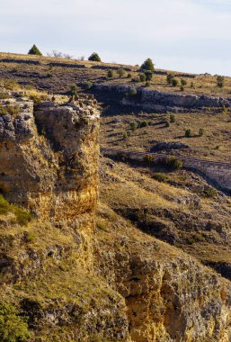 Dağdaki dağ geçidi Kayalıkların tepesinde bir sürü akbaba.