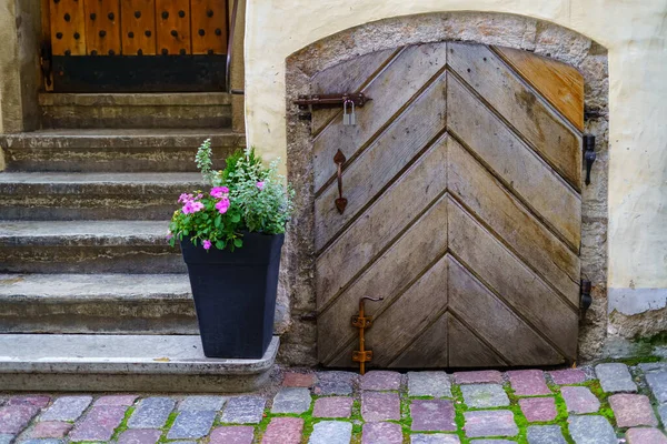 Très Vieille Porte Planches Bois Côté Pot Fleurs Avec Des — Photo